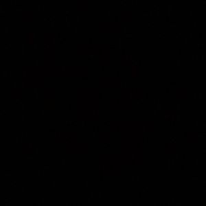 Meet your Posher, Linsey